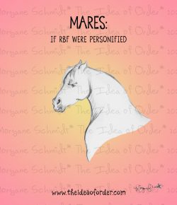 The Idea of Order: The Mare Stare, Take 2