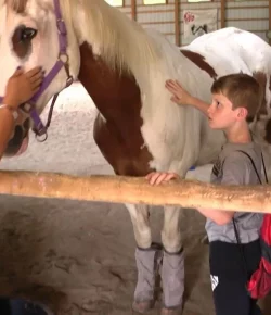 How Horses Are Helping Children Overcome Speech and Language Disorders