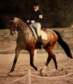 Training in the Right Way: Let’s Discuss Self-Carriage