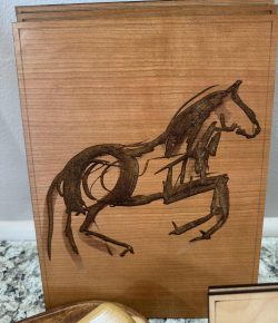 I Spy Horses: Kaua’i, Hawai’i