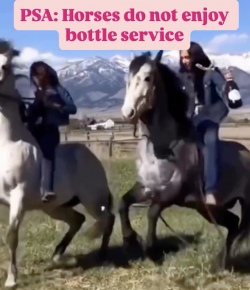 Tuesday Video: Bottle Service