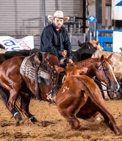 From Ranch Roots to World Finals: The Rise of José Antonio Sigala Peña in Cutting