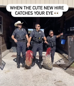 Thursday Video: We’re All Distracted by the New Hire