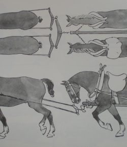 Honoring Labor Day: The History of Working Horses