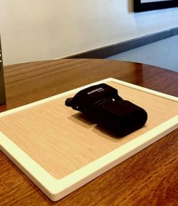 Horsing Around the World: Garmin Headquarters