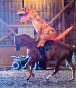 Thoroughbred Logic, Presented by Kentucky Performance Products: Smart, Not Bombproof