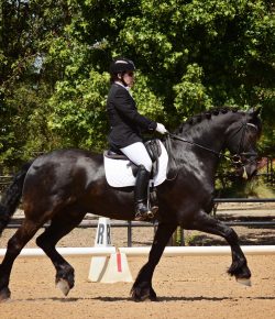 Training in the Right Way: Mythbusters Edition