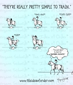 The Idea of Order: “Teachable Moments”…