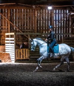 Thoroughbred Logic, Presented by Kentucky Performance Products: Improving the Off Track Canter