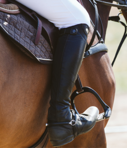 Running on Coffee, Dust, and Adrenaline: The Exhaustion of Horse Shows