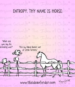 The Idea of Order: Why We Can’t Have Nice Things…