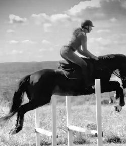 Thoroughbred Logic, Presented by Kentucky Performance Products: Dosage Profile and the Sport Horse