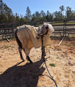 Reader Photo Challenge: Desensitization