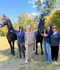 Martha Stewart Gives Two Friesian Rescues a Second Chance