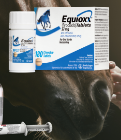 Which NSAID? Equioxx (Firocoxib) vs. Bute (Phenylbutazone) vs. Banamine (Flunixin)