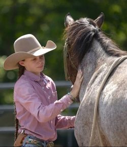 So You Think You’re a Colt Starter