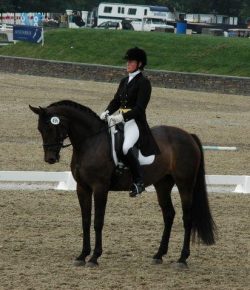 Training in the Right Way: Repetition in Training