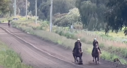 ‘Oh Crap’ Monday: Only in Australia