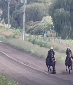 ‘Oh Crap’ Monday: Only in Australia