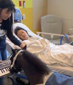 Tuesday Video: Therapy Horse Pianist