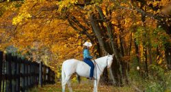 Reader Photo Challenge: Fall Photos