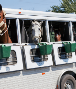 8 Lies We Tell Ourselves About a Show Weekend