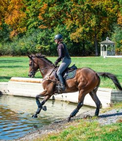 Thoroughbred Logic, Presented by Kentucky Performance Products: Track Tight