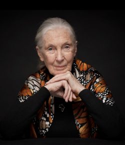 Remembering Jane Goodall and the Lessons She Left for All Animal Lovers
