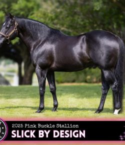 A Farewell to Slick By Design: Remembering a Legend in Barrel Racing