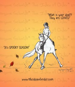 The Idea of Order: Just Kidding,…