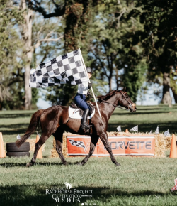 Retired Racehorse Project Thoroughbred Makeover and National Symposium: Day One Recap