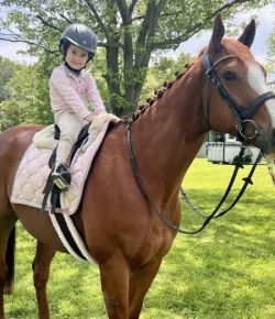 2025 Thoroughbred Makeover: Sibelius Takes to Dressage, Part II