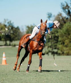 Retired Racehorse Project Thoroughbred Makeover and National Symposium: Day Two Recap