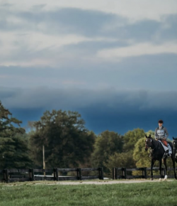 Retired Racehorse Project Thoroughbred Makeover and National Symposium: Day Three Recap
