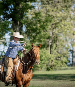 Retired Racehorse Project Thoroughbred Makeover and National Symposium: Finale Recap