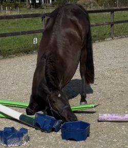 ‘Oh Crap’ Monday: Mood Communicated