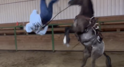 ‘Oh Crap’ Monday: Cartwheel