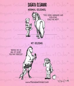 The Idea of Order: Sheath Cleaning