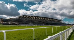 A Look Ahead to British Champions Day