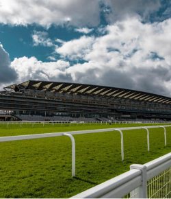 A Look Ahead to British Champions Day