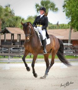 Training in the Right Way: Skill Not Strength