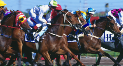 VRC Confirms Second Declarations for the 2025 Melbourne Cup