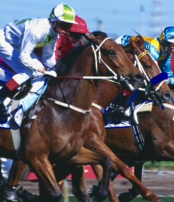 VRC Confirms Second Declarations for the 2025 Melbourne Cup