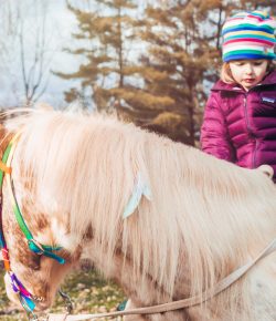 Teaching Emotional Control: Horses and Kids Aren’t That Different