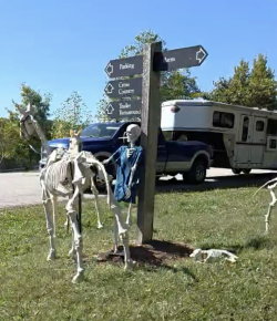 Thursday Video: Wellness Exam