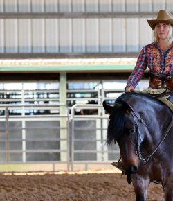 Breaking vs. Gentling: Spirit Lost vs. Spirit Shared