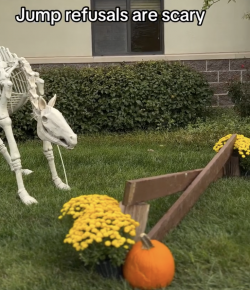 Tuesday Video: Scary Jump Refusals