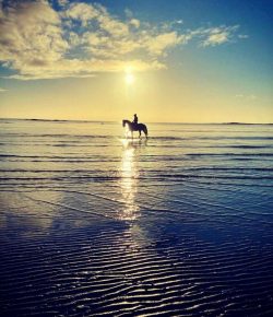 How Would You Like To Train Like This?