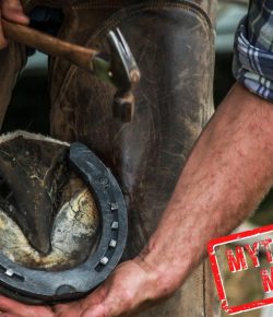 Mythbuster Monday: Shoes Make a Horse Faster