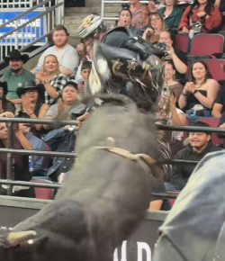 ‘Oh Crap’ Monday: When the Bull Loses the Battle but Wins the War